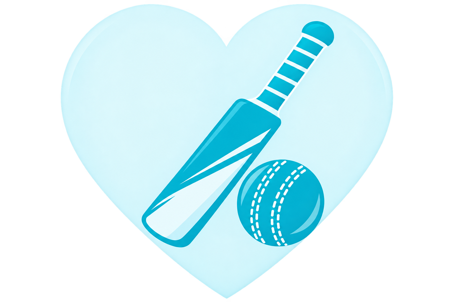 cricket about-us sportsblog1